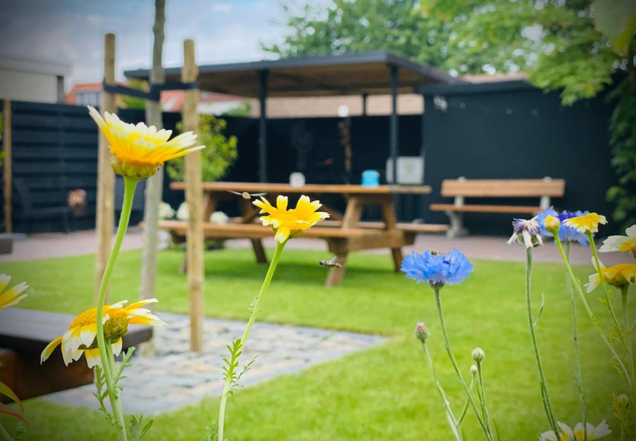Flamingo Studio'S Zeeland Schoondijke Zewnętrze zdjęcie