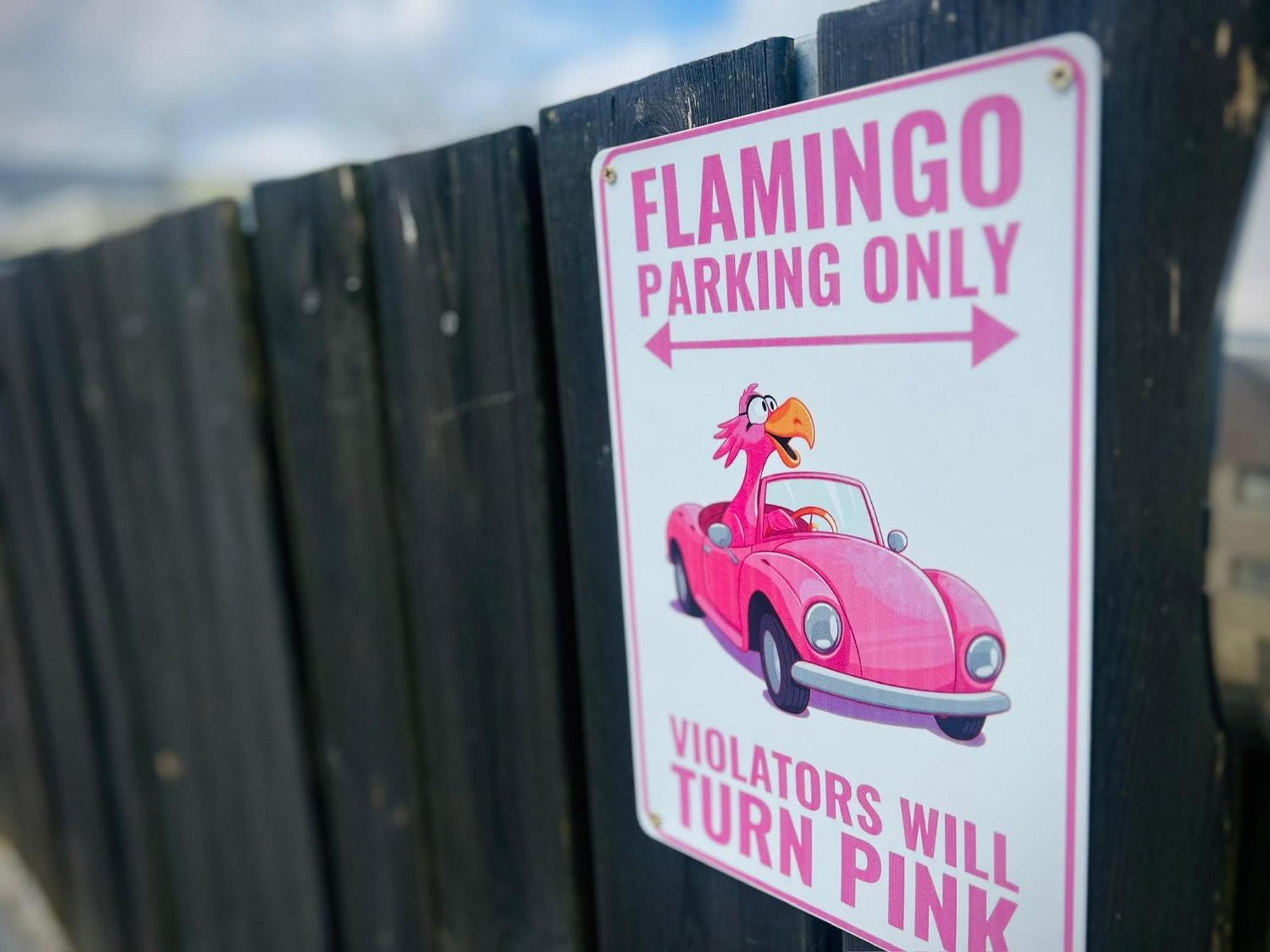 Flamingo Studio'S Zeeland Schoondijke Zewnętrze zdjęcie
