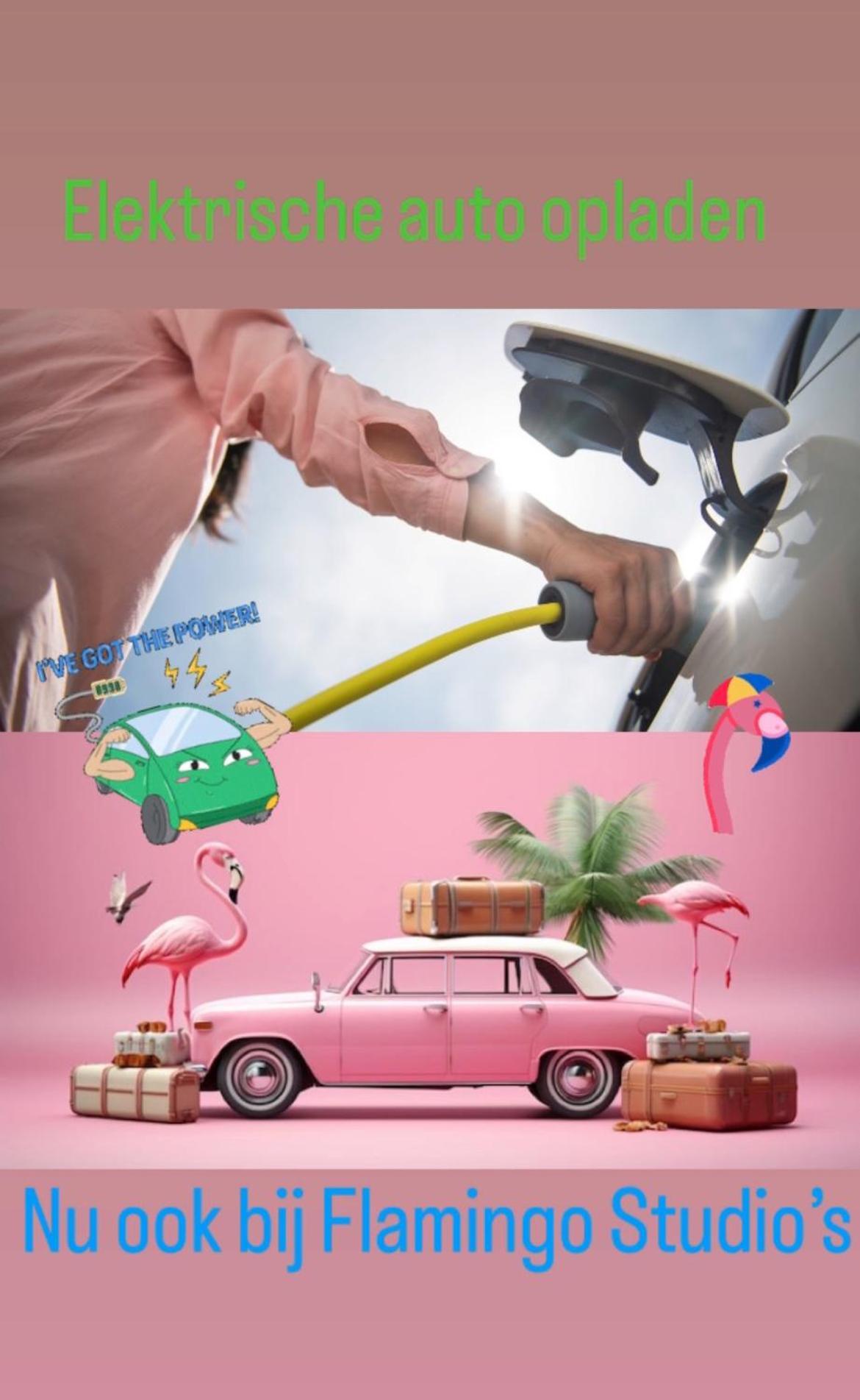 Flamingo Studio'S Zeeland Schoondijke Zewnętrze zdjęcie